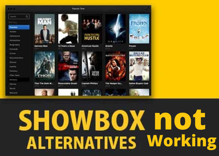 How to Fix Showbox not Working