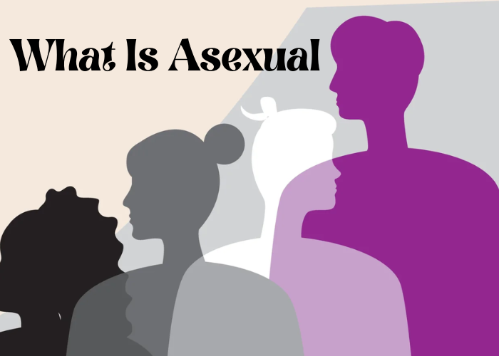 What is asexual
