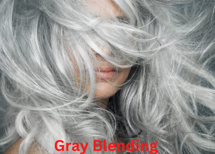 Gray Blending for Dark Hair